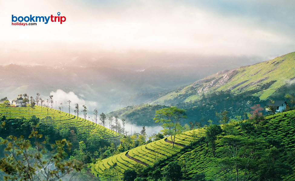 Bookmytripholidays | Delightful landscapes of Kerala | Nature tour packages